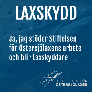 Laxskydd, 50 kronor