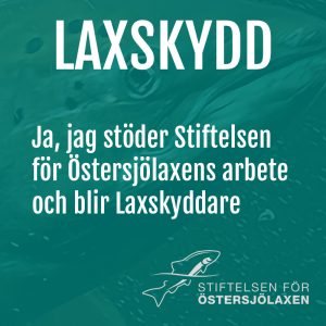 Laxskydd, 100 kronor