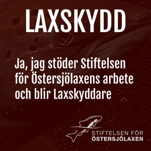 Laxskydd, 20 kronor
